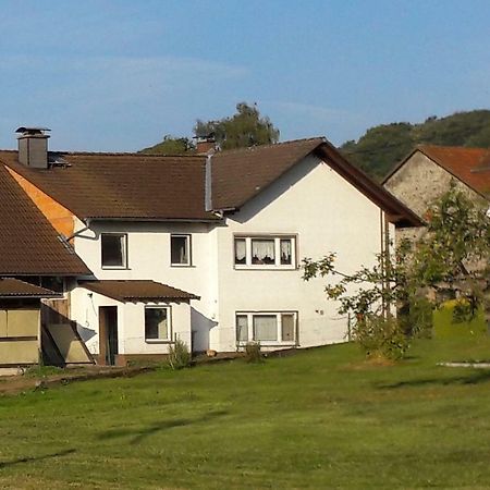 Ferienwohnung Auf Dem Pferdehof ショッテン エクステリア 写真